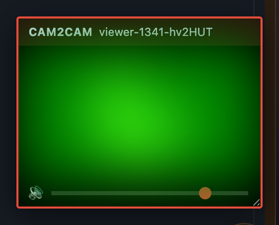 Das Cam2cam-Fenster in deinem Studio: Video, Name und Lautstärkeregler des Zuschauers.
