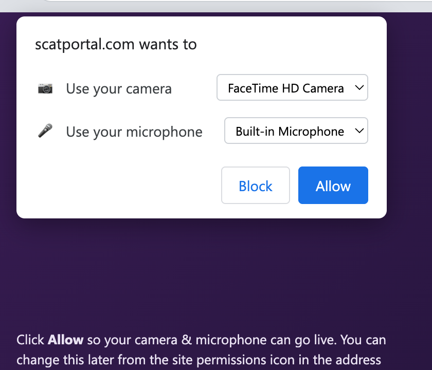The camera + microphone permission prompt (shown in your browser's language) — click Allow on every visit.