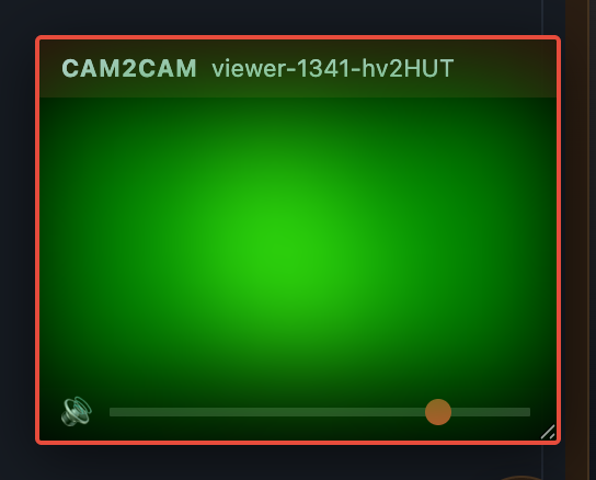 El estudio durante una sesión privada exclusiva: la cámara del espectador aparece como una ventana flotante en modo Cam2Cam.