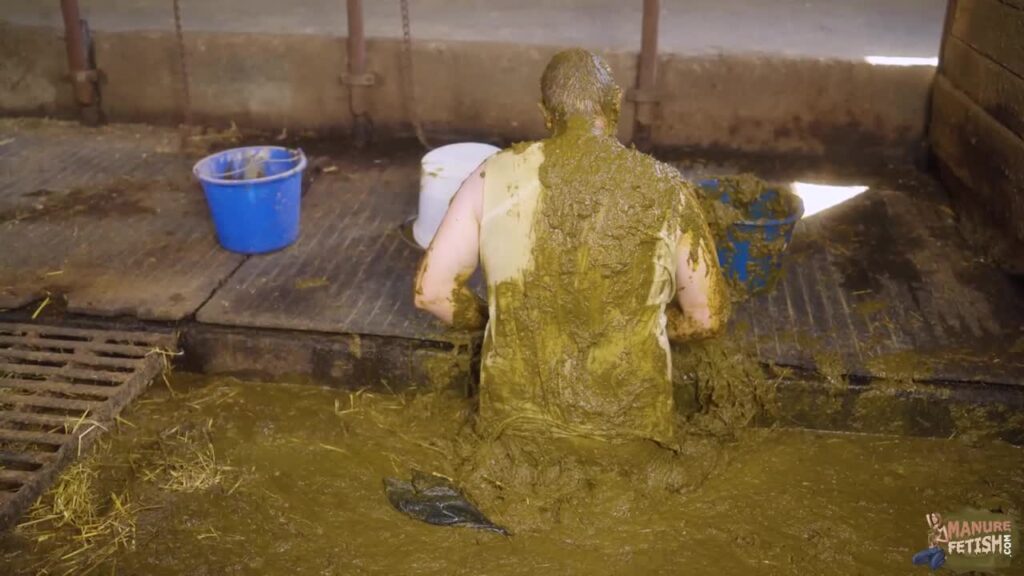 Franky Back In The Manure Channel