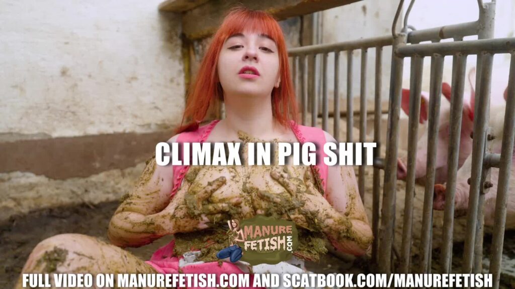 Climax In Pig Shit