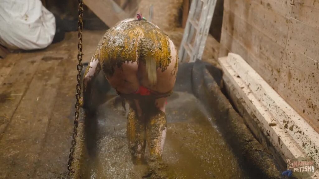 Manure Shower