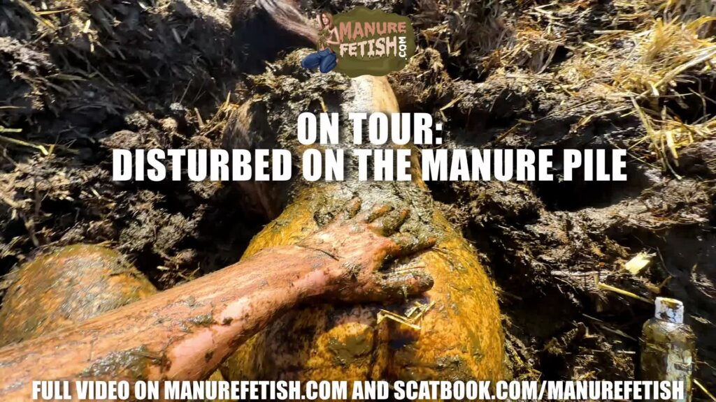 ON TOUR: Disturbed on the manure pile