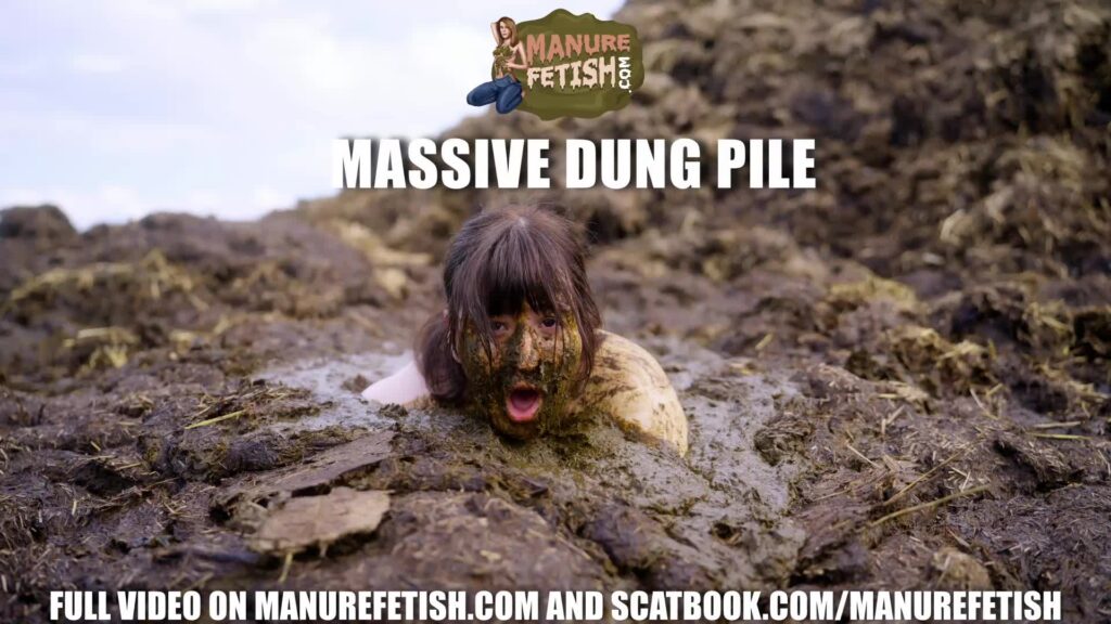 ON TOUR: Massive Dung Pile