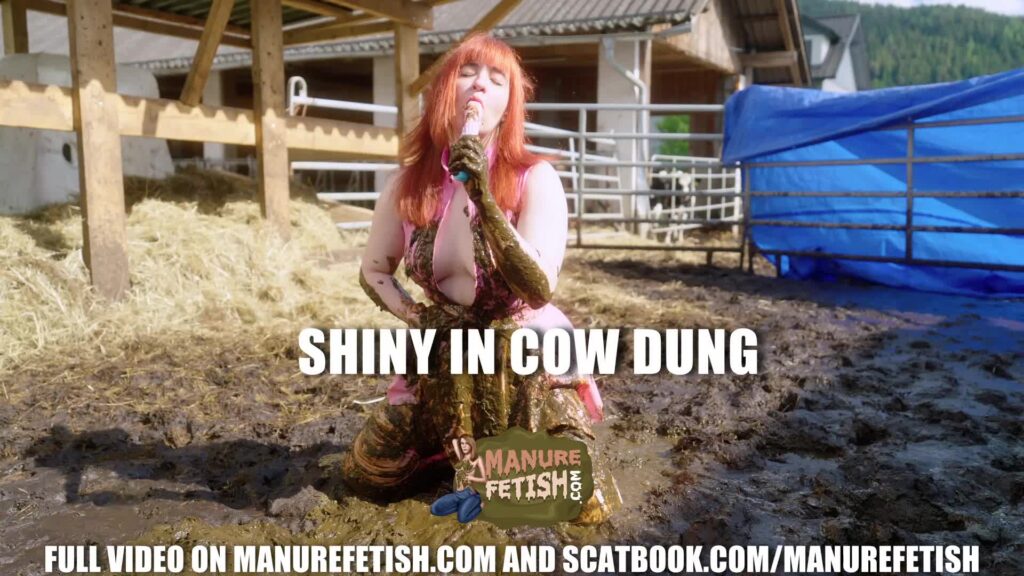 Shiny In Cow Dung
