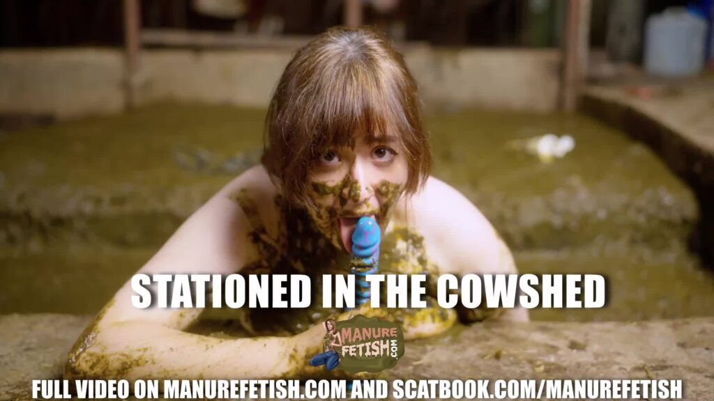 Stationed In The Cowshed