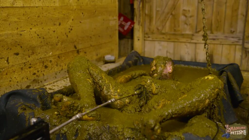 Five Prostate Orgasms in Cow Dung