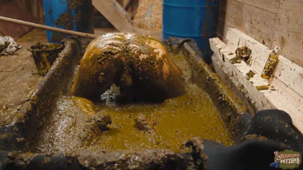Franky’s Time in the Manure Basin