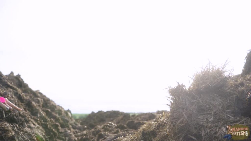 ON TOUR: Digging in the dung pile