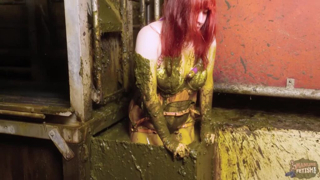 Masturbating Through The Cowshed