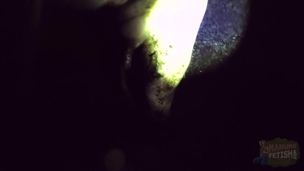 Manure Channel Exploration